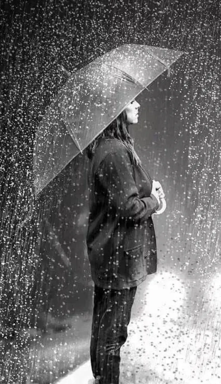 本文所有圖片來自網上