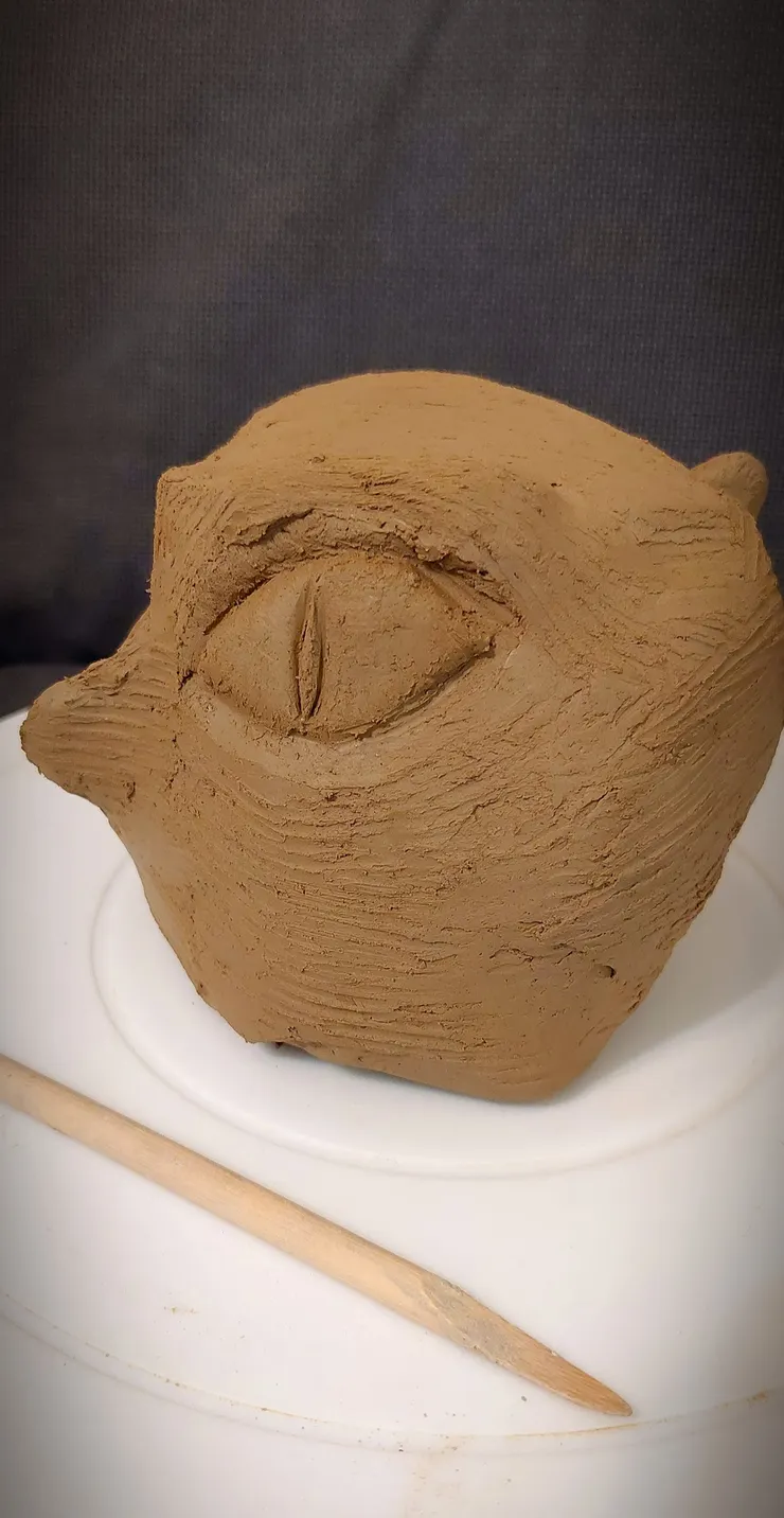 《仍然未知的粗胚》