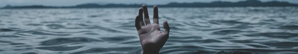 細鹽33號的沙龍