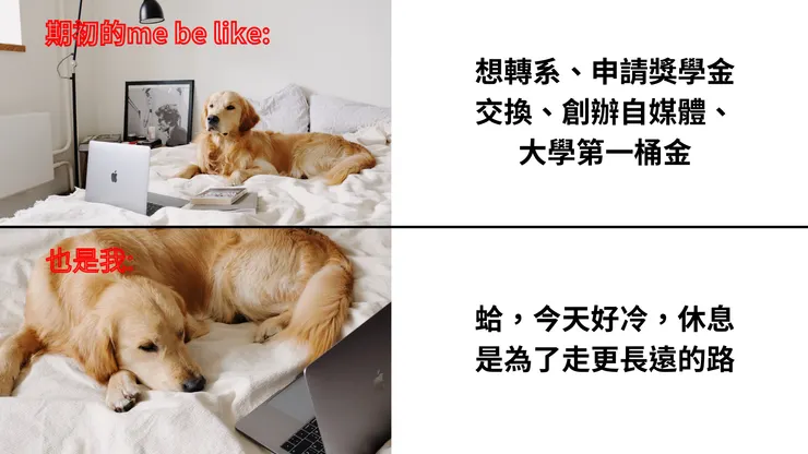 (教授,頂樓風好大我好冷)