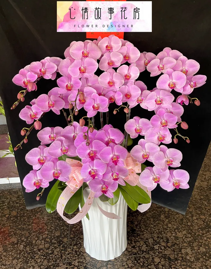 台南最推薦花店|心情故事花房陪您迎接蛇年,蘭花盆栽添喜氣,公家機關、銀行、醫院一致首選!