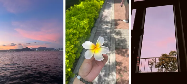 回程晚霞、樓下的雞蛋花、窗外日落