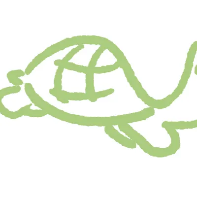 看書烏龜的書櫃