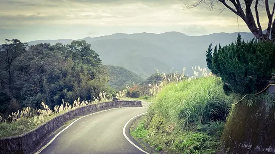 長輩住家分散在坪林各個山區，居服員得在山區奔走服務。拍攝/蘇麗華