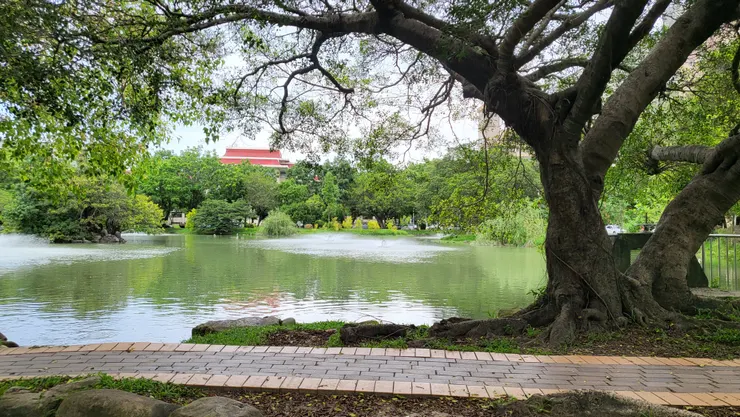 中興大學-中興湖(李建崑攝影)