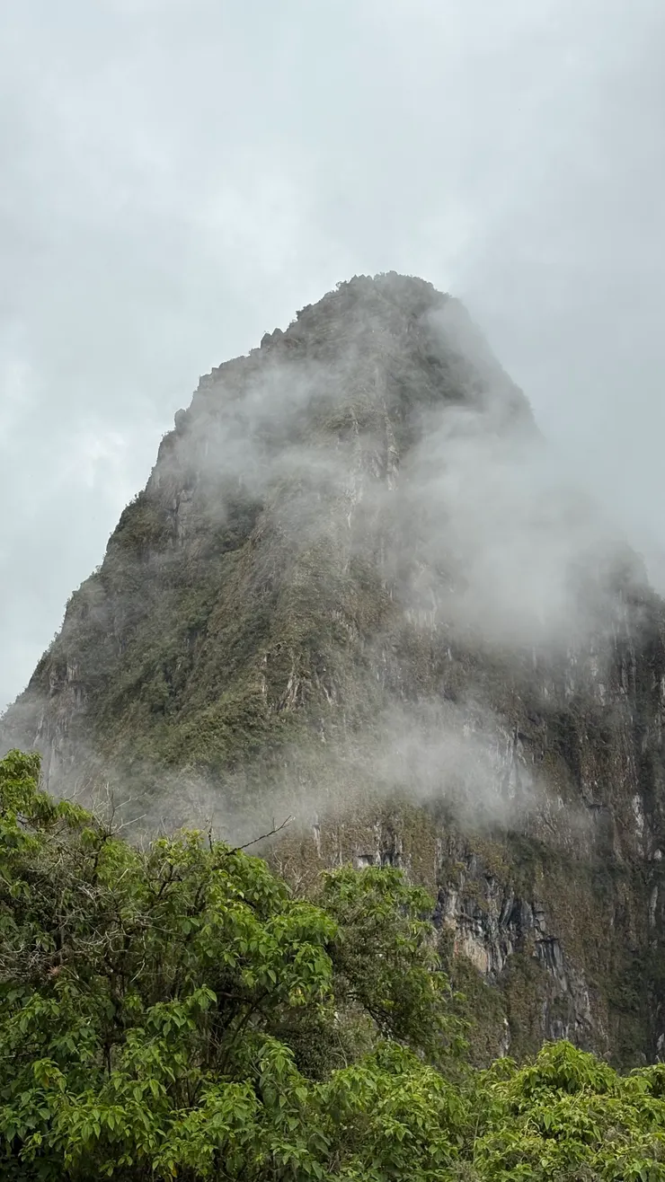 華納比丘也終於逐漸露臉見客了！
