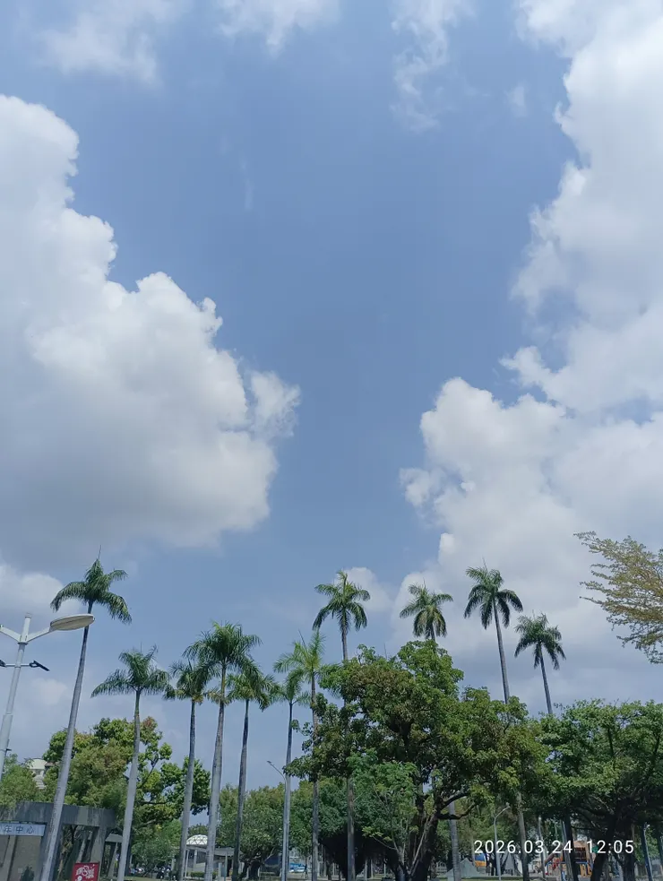 白雲盡日依山轉