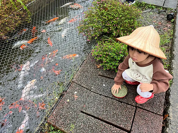 006208|投資月報(2023.11)