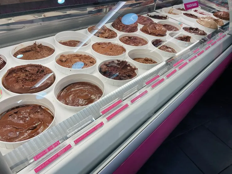 我記得我當時看到這一整片、幾十種不一樣的巧克力口味，整個大傻眼😂😂都不知道原來可以有那麼多部一樣的變化!!!