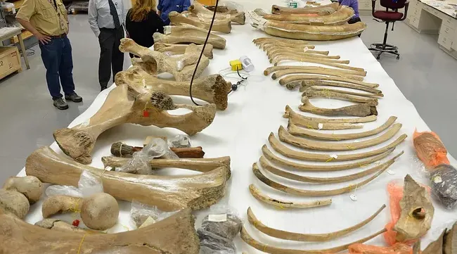 Photo:PENNSYLVANIA HISTORICAL AND MUSEUM COMMISSION