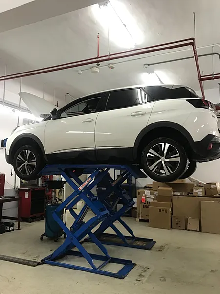 寶獅｜PEUGEOT 3008 40000 公里工單 回原廠保養檢查 兼附近散步