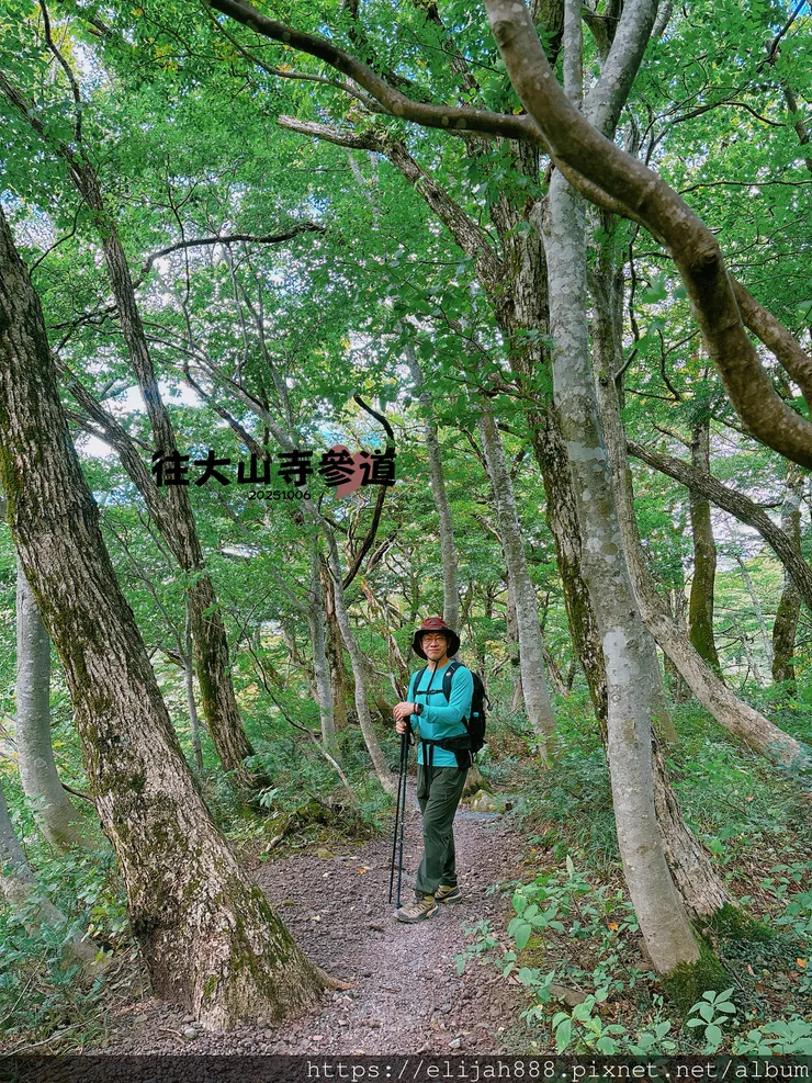 【2025初秋.鳥取県大山町登山趣】夏日登山口/海拔1709