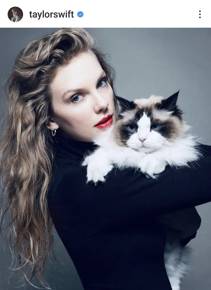 截自Taylor Swift IG