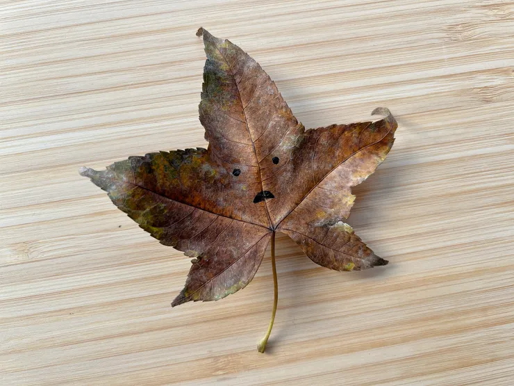 這大概是寧當時的表情：D