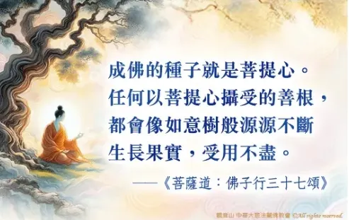 成佛種子~菩提心
