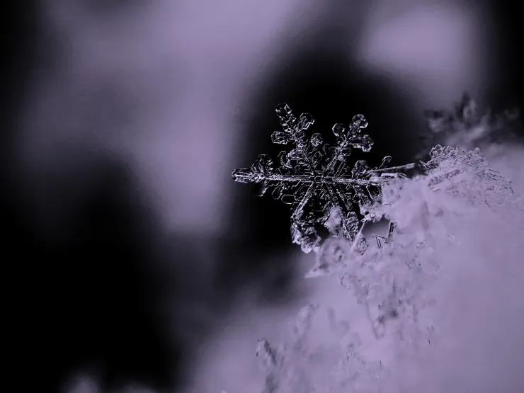 Photo by Aaron Burden on Unsplash