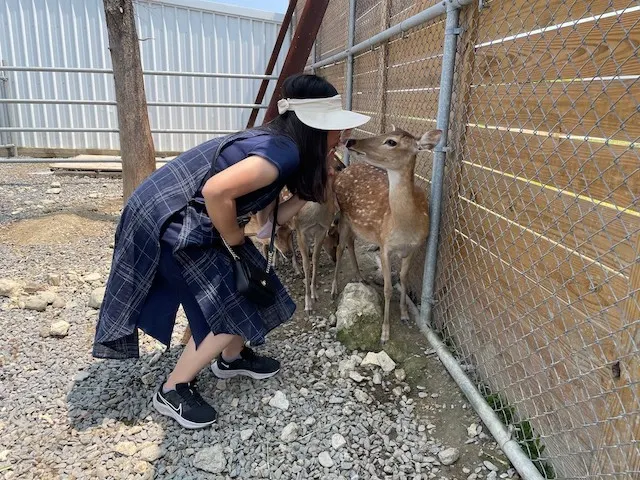 怎麼感覺梅花鹿好可憐😆