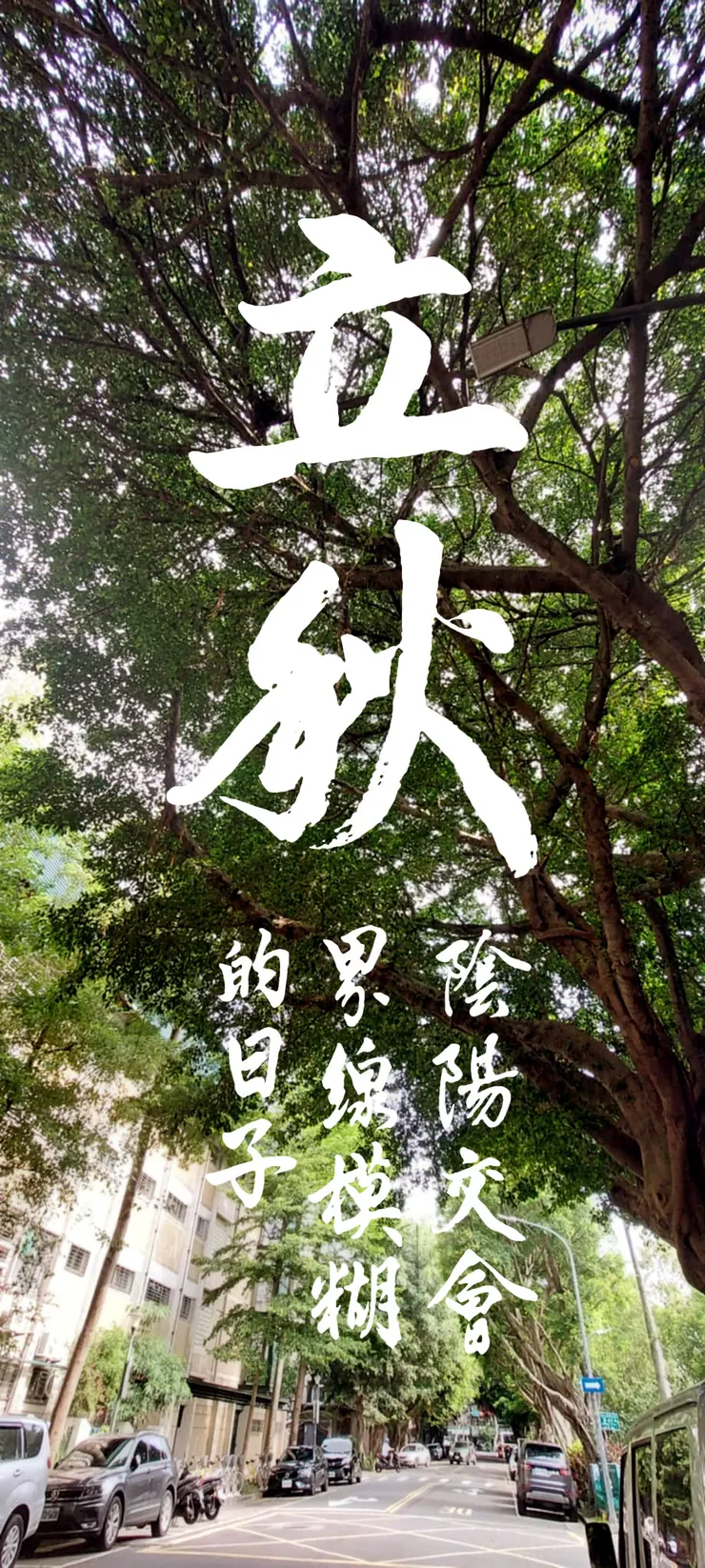 【節氣:立秋】