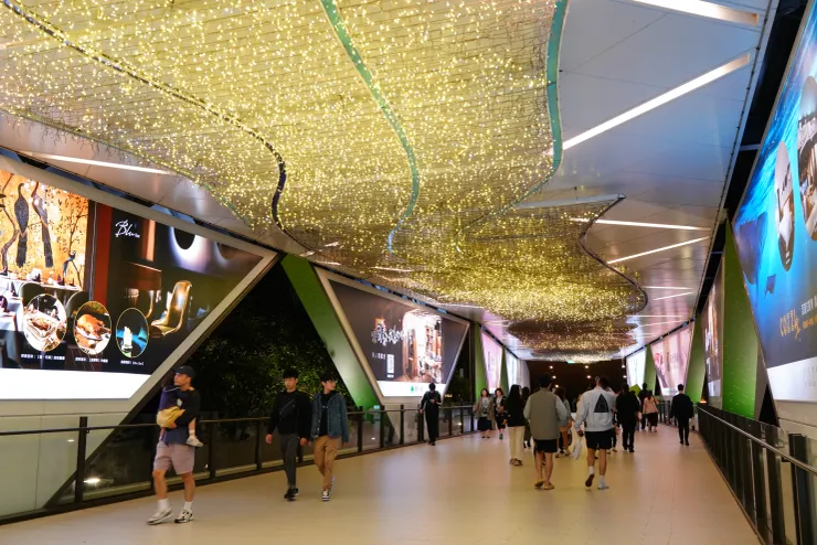 入口步道在夜晚點起漂亮的裝飾燈光