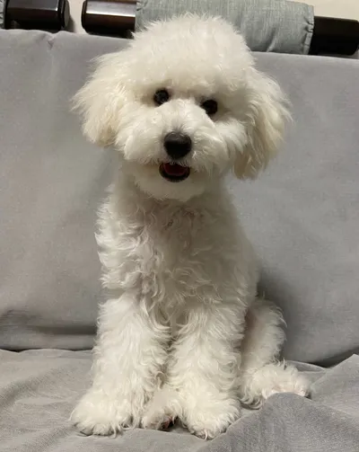 黃津瑀的寫作小屋