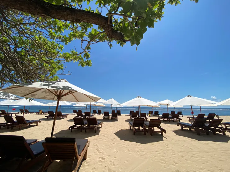 一座座躺椅,如花綻放,映襯著碧海藍天