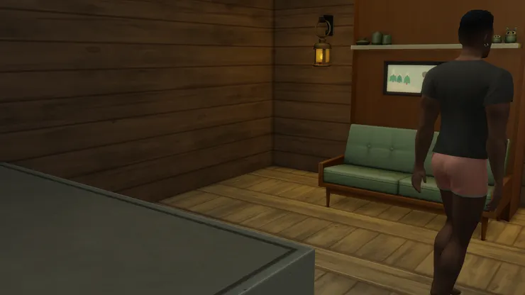 這是黑寡婦的小黑屋還有旁邊那張獲得保險金的最大功臣-自動升降床