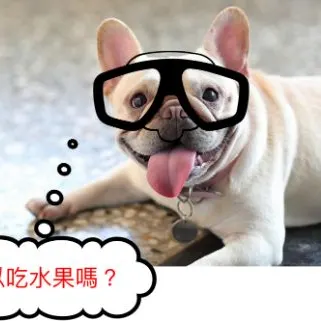 Mr.毛毛的寵物保健的沙龍