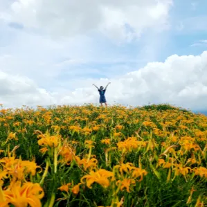 莓果星球的沙龍