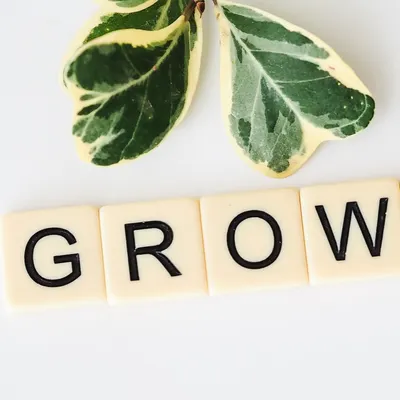 心如止水的沙龍