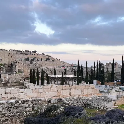 阿母～我在耶路撒冷！