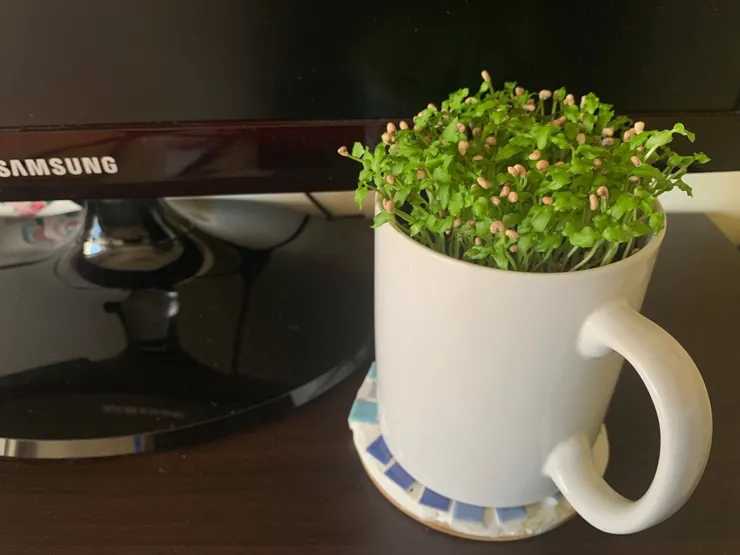 放在辦公桌前面