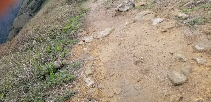 山上路況不難行，但要注意路滑