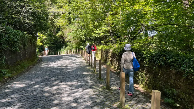 一開始走公路往下山方向，有區隔出人行道。