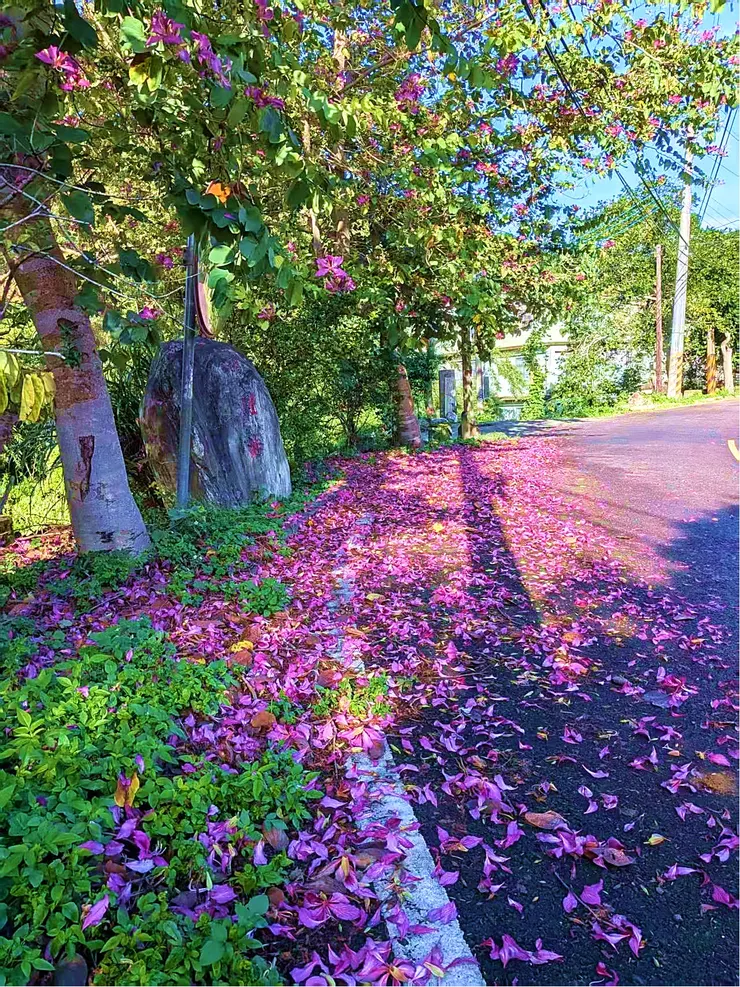 麻吉攝影- 上班途中