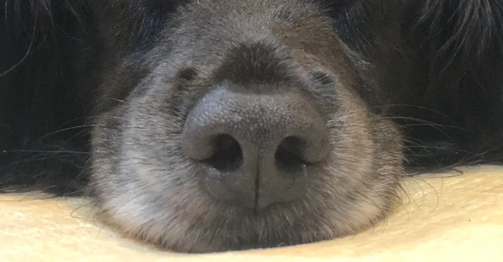 總想試試看的沙龍