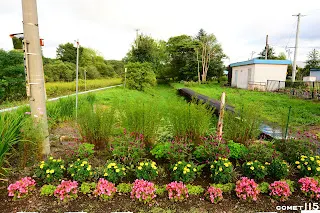 兩座月台之間的股道已經變成花圃