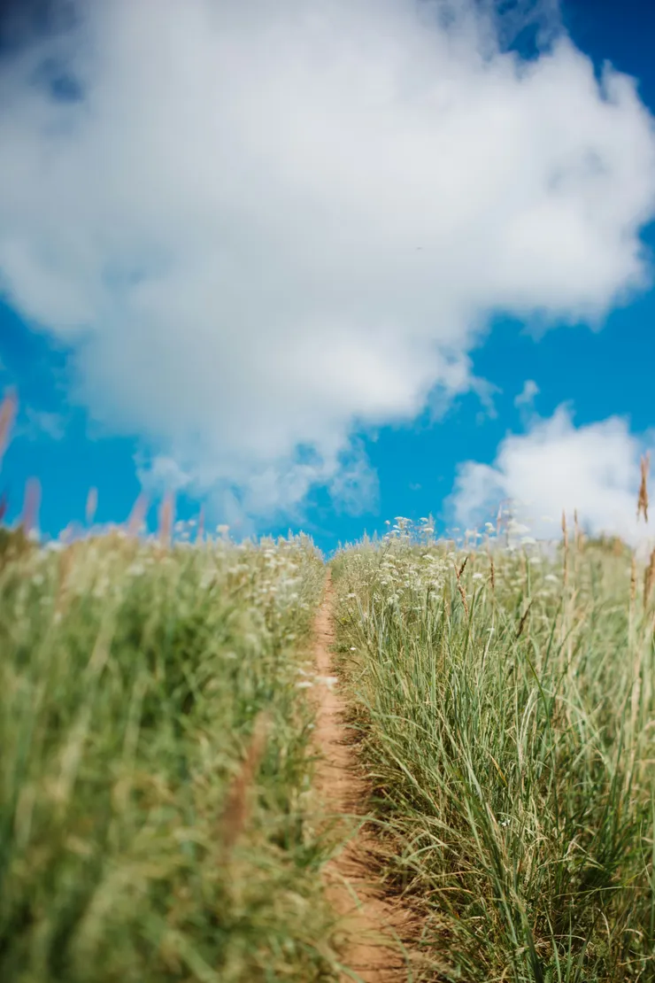 klara-kulikova-3Z4O3RcEPPc-unsplash