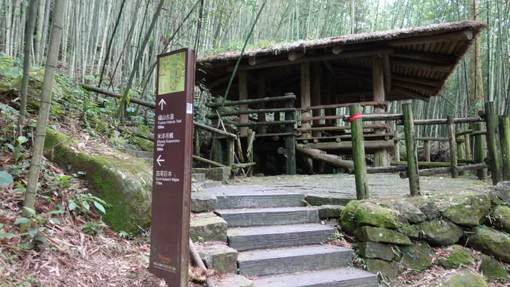 不取右道往巨木;前往米洋吊橋