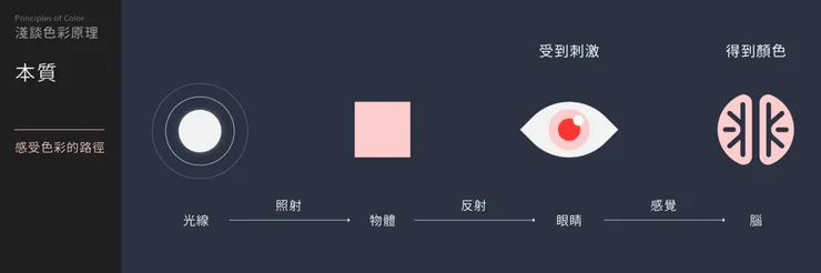 Design by Jhane Chou