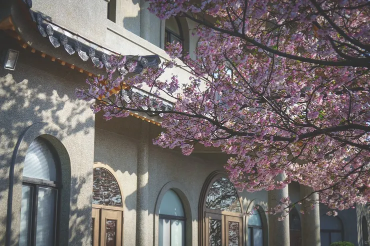 Source: Shutterstock