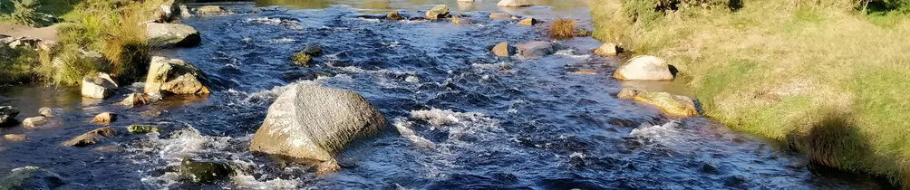 黑餅哥的食物隨筆