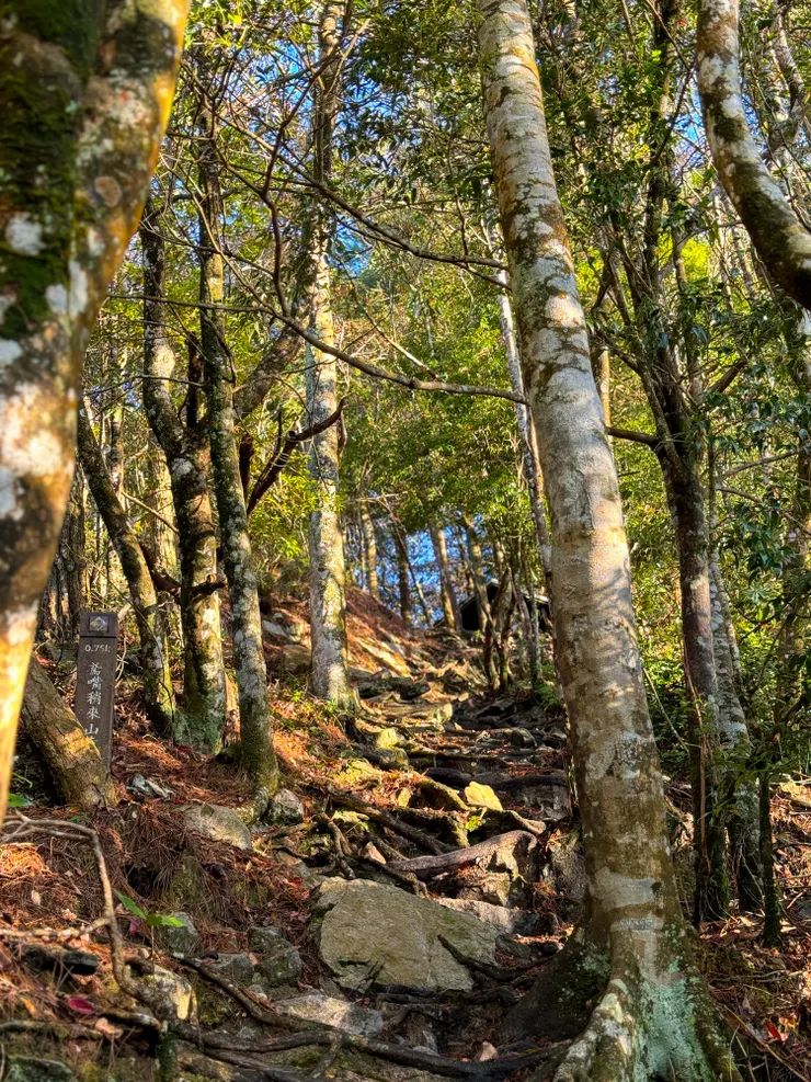 拍完照後繼續陡上