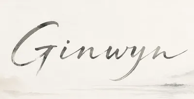 Ginwyn君的書桌