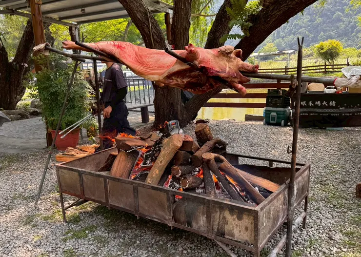 武界烤全豬:原鄉風味的在地盛宴,農族傳統祭典、遊客體驗活動中,都能看到這種柴火慢烤的全豬料理