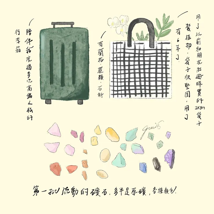當日匆匆收拾的行李，把植物全部裝在升大一時買的IKEA袋子裡，這個袋子陪我經歷過很多地方和多次出貨，到現在還在使用