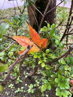 有句話說得好：有錢人是找方法；窮人卻是找藉口。被批評或嗆聲的點，或許無法立即改變，但不代表以後也無法改變。例如賺的錢不夠多，現在是如此，但不代表以後也依然會是如此。