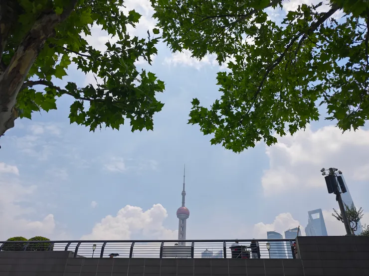 外灘樹下的陰涼處