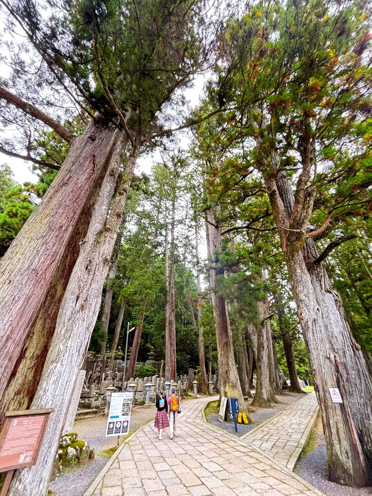 一之橋進入奧之院參道(自行拍攝)