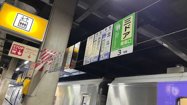 這一長串數了一下，共有9種列車。