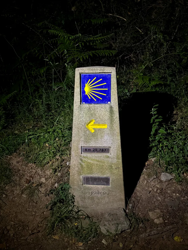 摸黑錯過叉路，原來在樹叢旁，不容易看見。